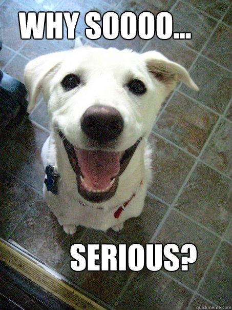 Happy dog asking why so serious
