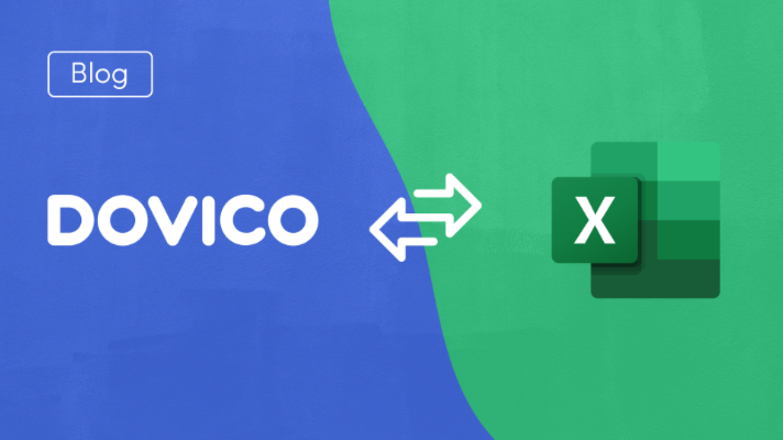 Dovico Excel integration graphic